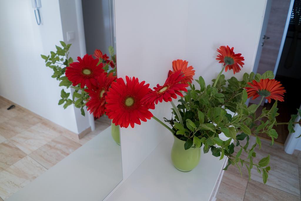 מאקרסקה Apartmani Ruzica מראה חיצוני תמונה